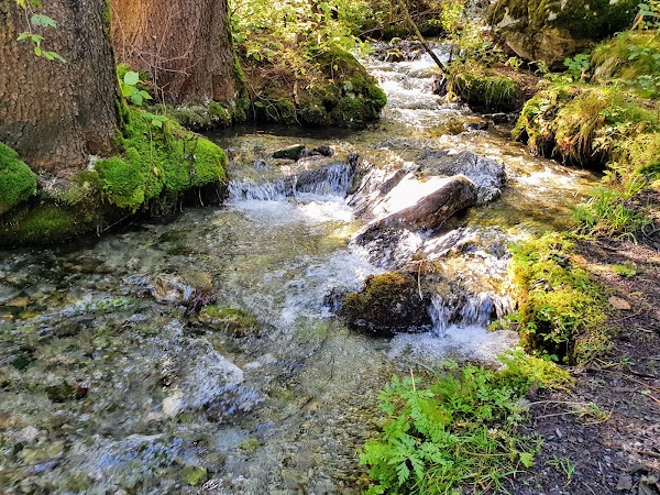 Crestasee 4