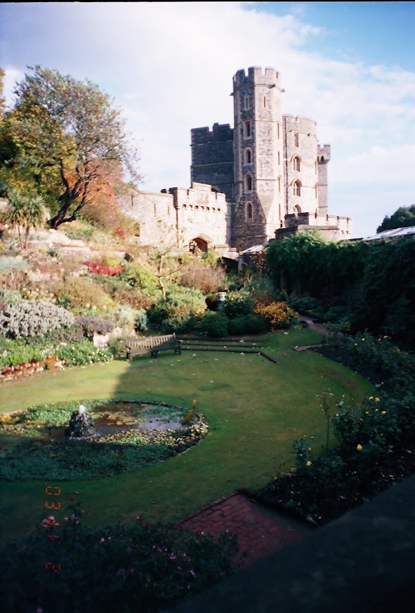 Windsor 5