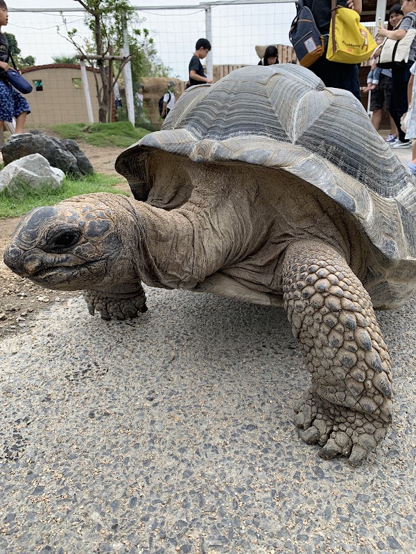 神戸どうぶつ王国(Kobe Animal Kingdom) 2