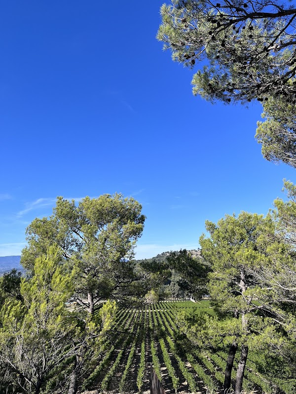 Château La Coste Art Gallery by Renzo Piano 2