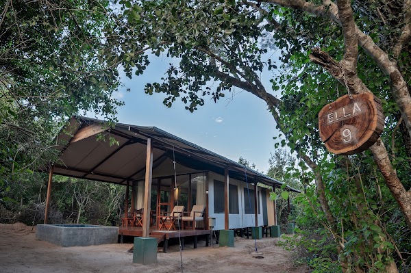 Wild Trails Yala By Suri
