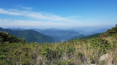 Cherry Blossom 🌸 33