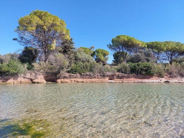 Oasi Gelsomineto