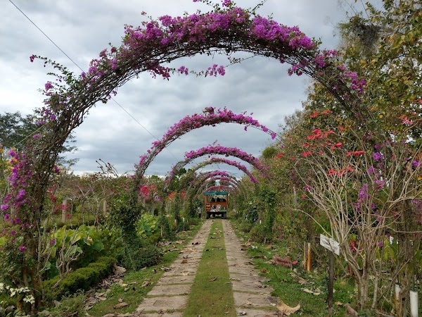 Belize Spicefarm and Botanical Gardens 3