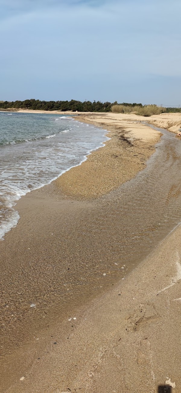 Lagouvardos