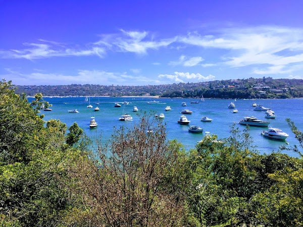 Manly To Spit Bridge Coastal Walk 5