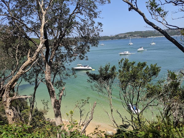 Manly To Spit Bridge Coastal Walk 4