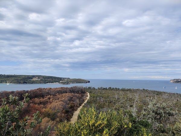 Manly To Spit Bridge Coastal Walk 3