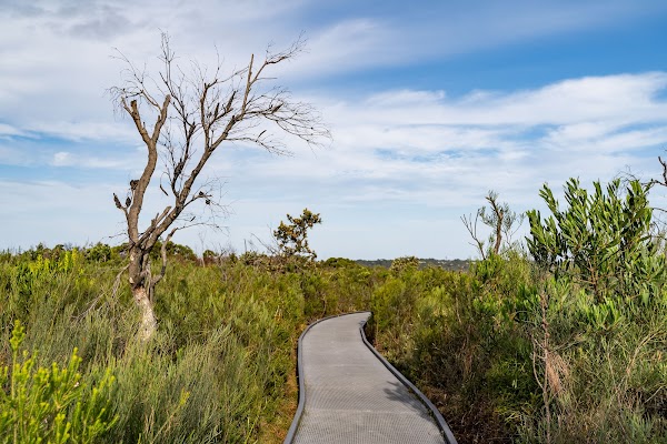 Manly To Spit Bridge Coastal Walk 2