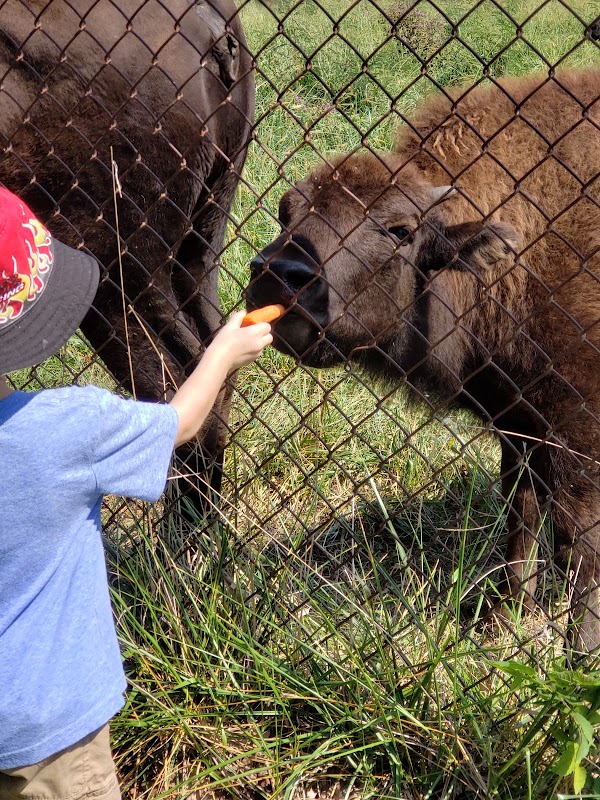 Native Hoofed Animal Enclosure