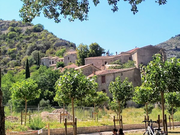 Cévennes 4
