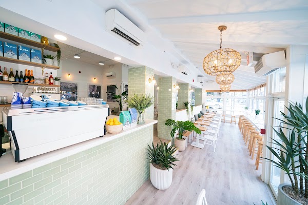Bluestone Lane Tribeca Café 1