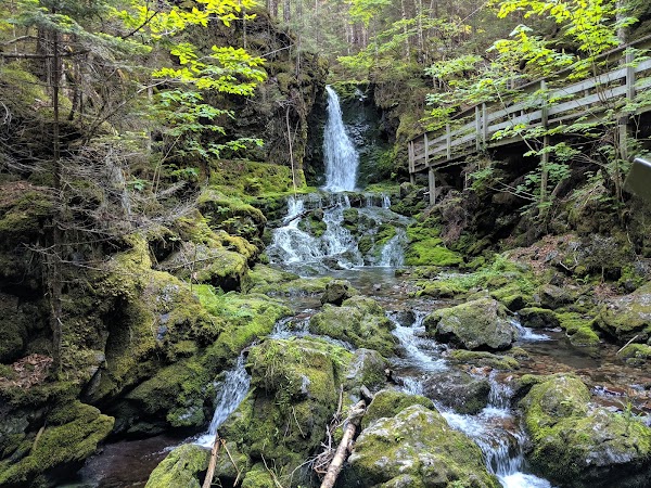 Fundy National Park Of Canada 5