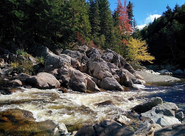 Fundy National Park Of Canada 4