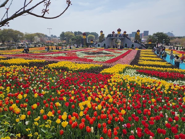 Korea Flower Park 5
