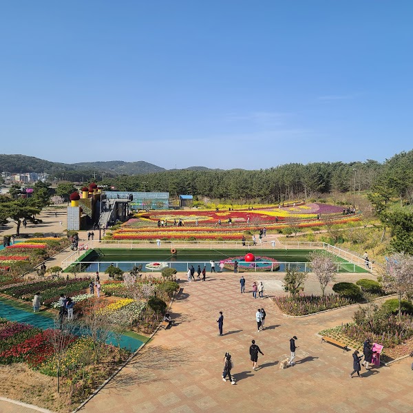 Korea Flower Park 4