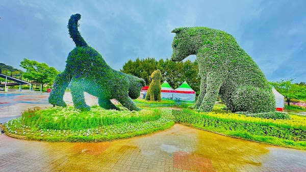 Korea Flower Park 3