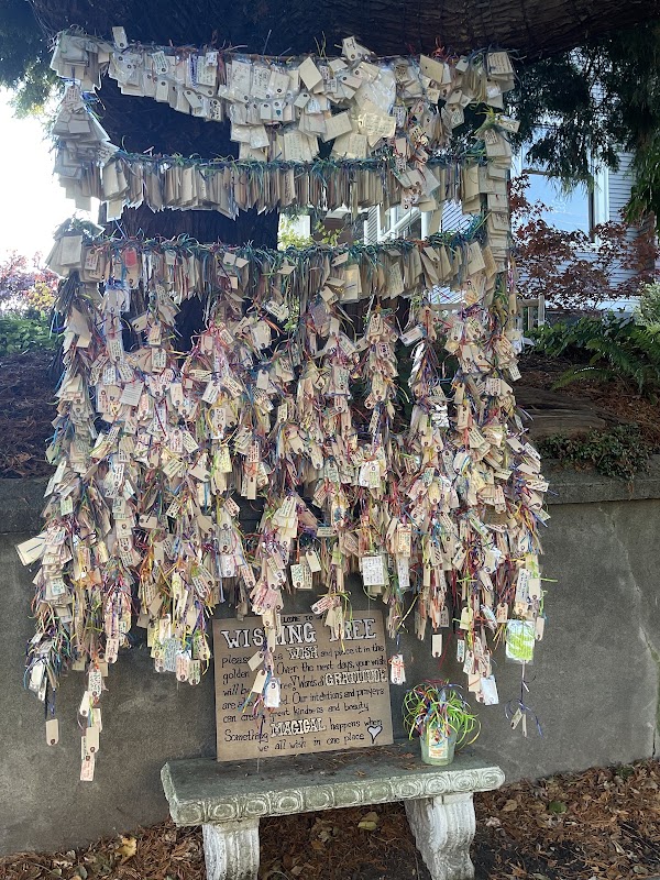 Capitol Hill Wishing Tree