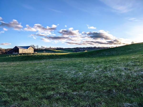 Creemore 4