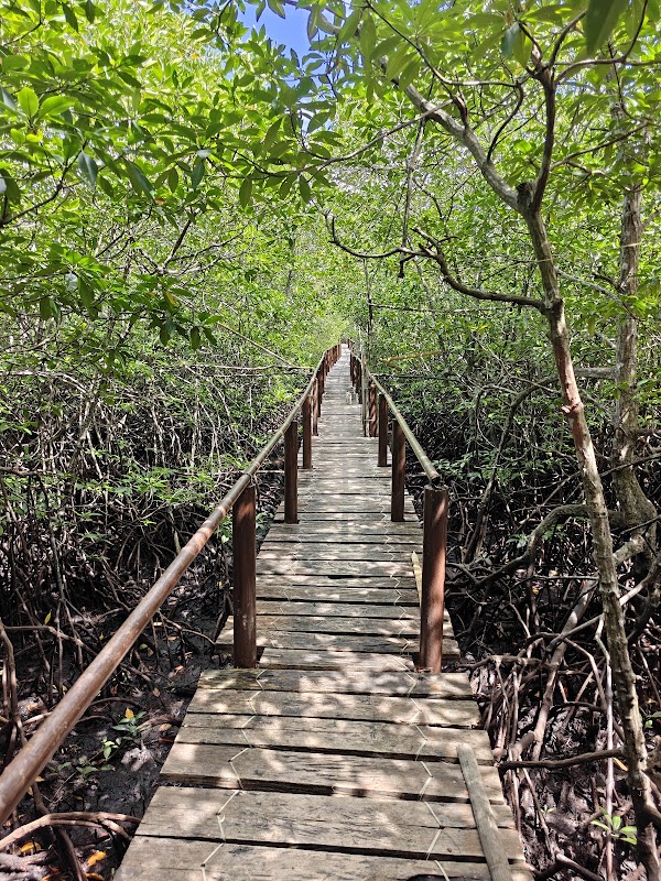 Lamanok Point 3