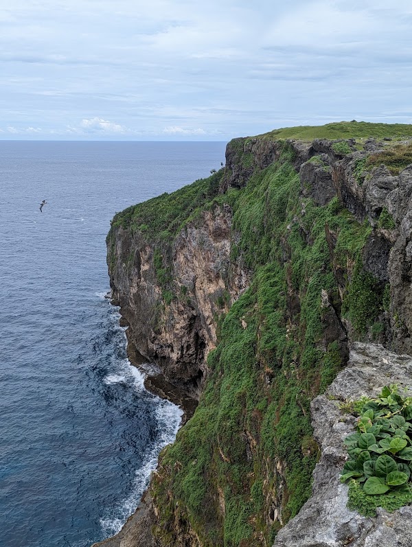 Laku Fa'anga Cliffs 1