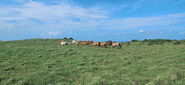 Laku Fa'anga Cliffs 5