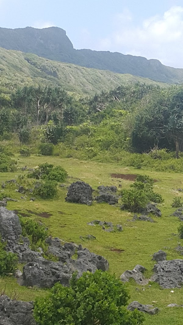 Laku Fa'anga Cliffs 3