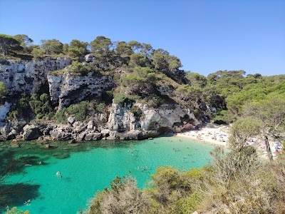 Macarelleta