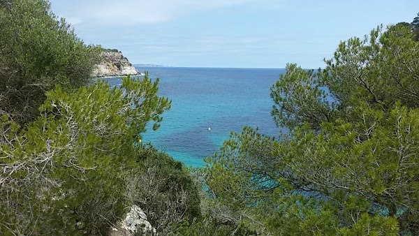 Macarelleta 4