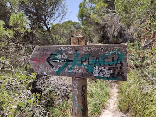 Macarelleta 2