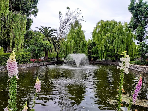 Cline Family Cellars 5