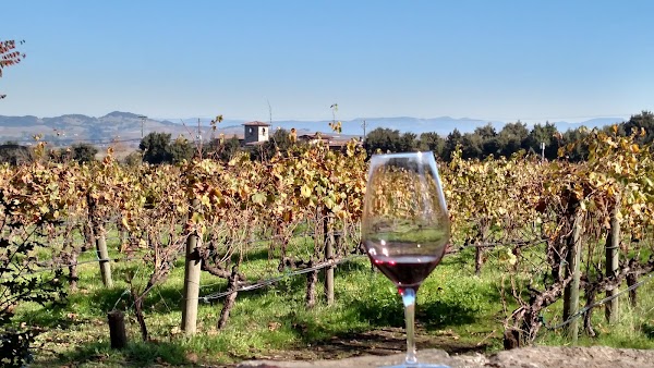 Cline Family Cellars 3