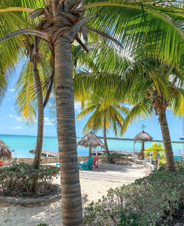 Exuma 3