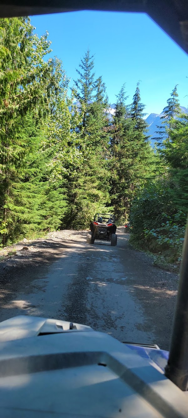 Cougar Mountain Road 1