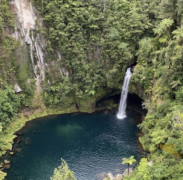 Omanawa Falls Track Car Park 1