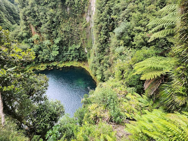 Omanawa Falls Track Car Park 5