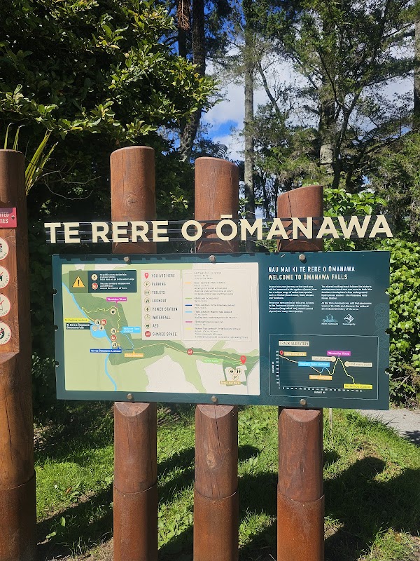 Omanawa Falls Track Car Park 4