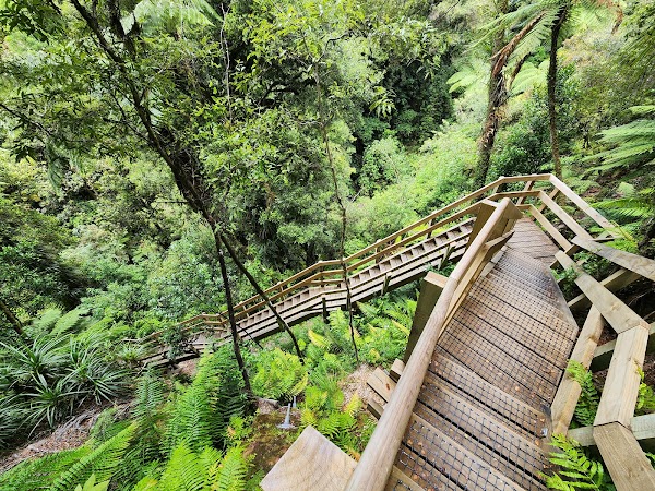 Omanawa Falls Track Car Park 3