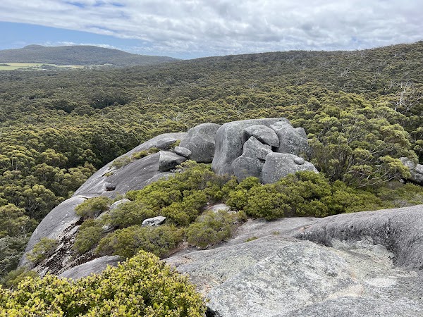 Monkey Rock 1