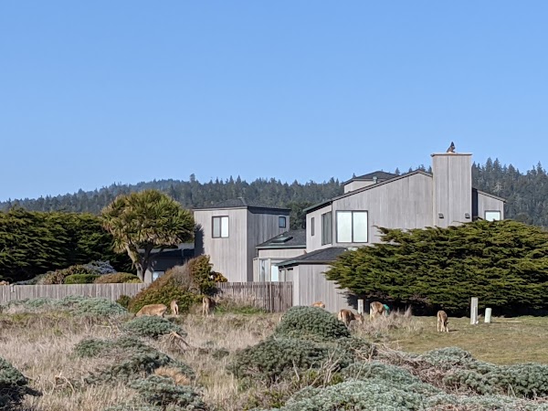 Sea Ranch 1