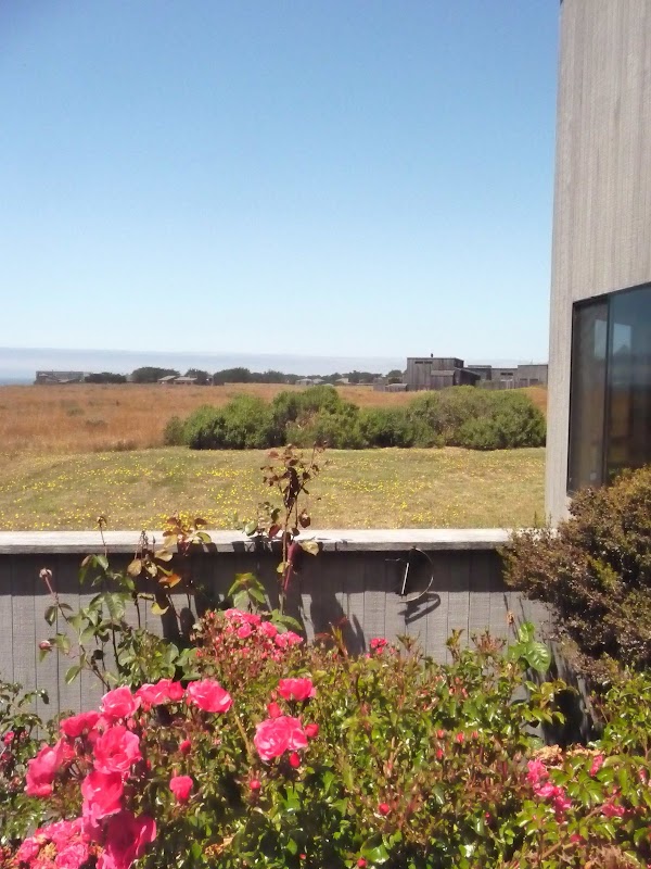 Sea Ranch 5