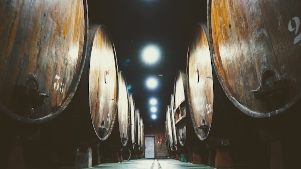 Petritegi Sagardotegia-Bodega 3