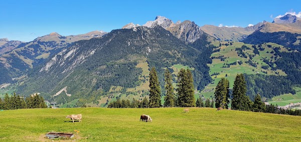 Saint Stephan