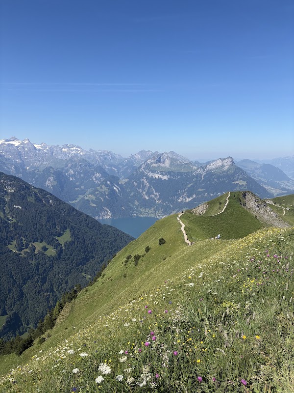Stoos Ridge trail 5