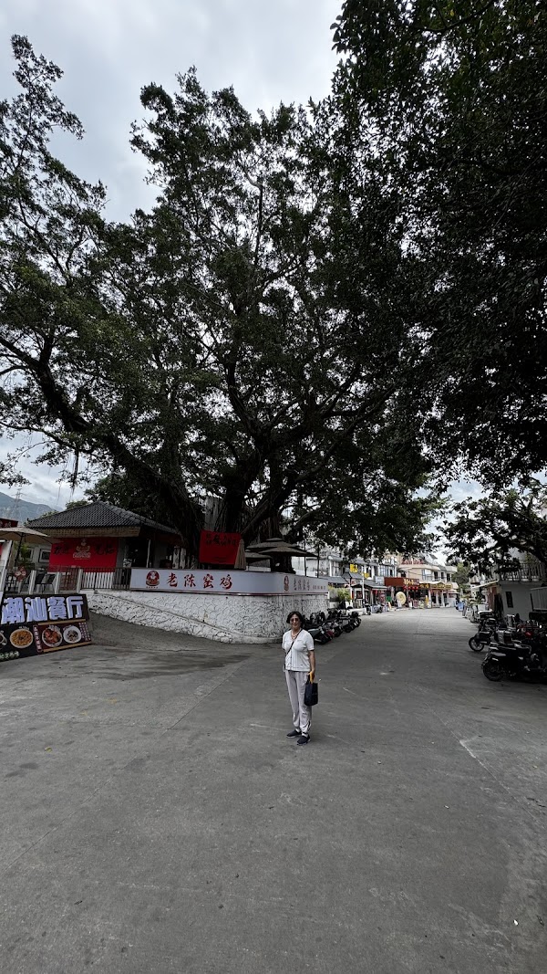 Shenzhen Dapeng Fortress Entrance Parking 3
