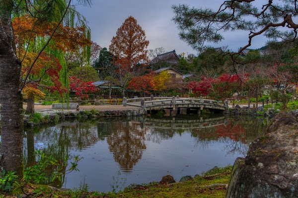 Maruyama Park 4