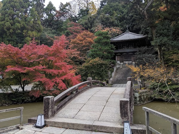 Maruyama Park 2
