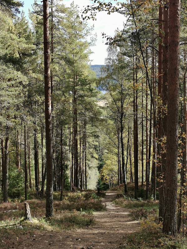 Nordmarka 4
