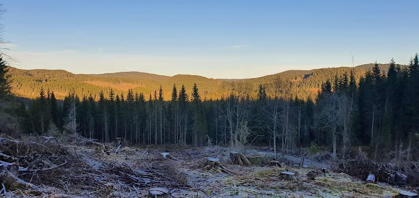 Nordmarka 2