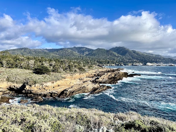 Sea Lion Point 5